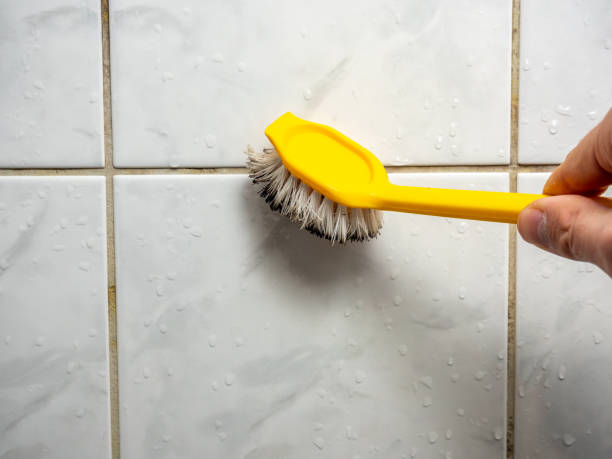 Best Professional Mold Removal  in Lincoln Village, CA