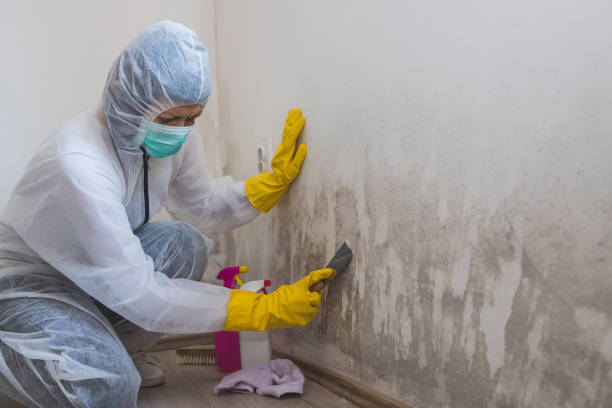 Water Damage Restoration in Lincoln Village, CA