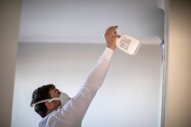 Mold Removal Process in Lincoln Village, CA