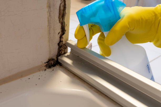 Best Mold Testing  in Lincoln Village, CA
