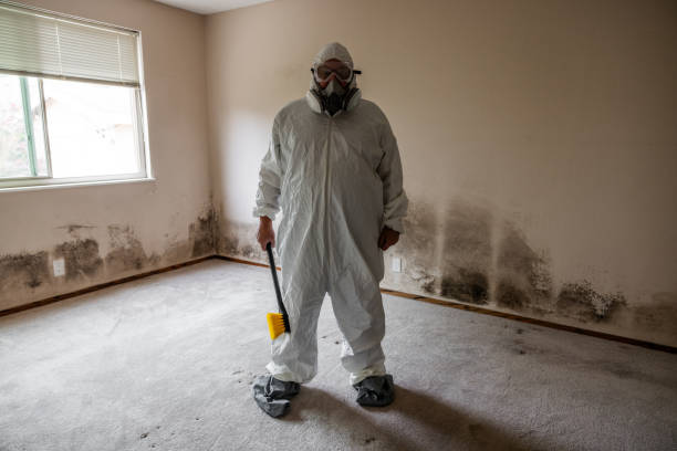 Best Certified Mold Removal  in Lincoln Village, CA