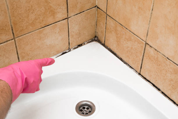 Best Home Mold Removal  in Lincoln Village, CA